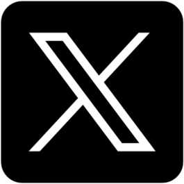公式X